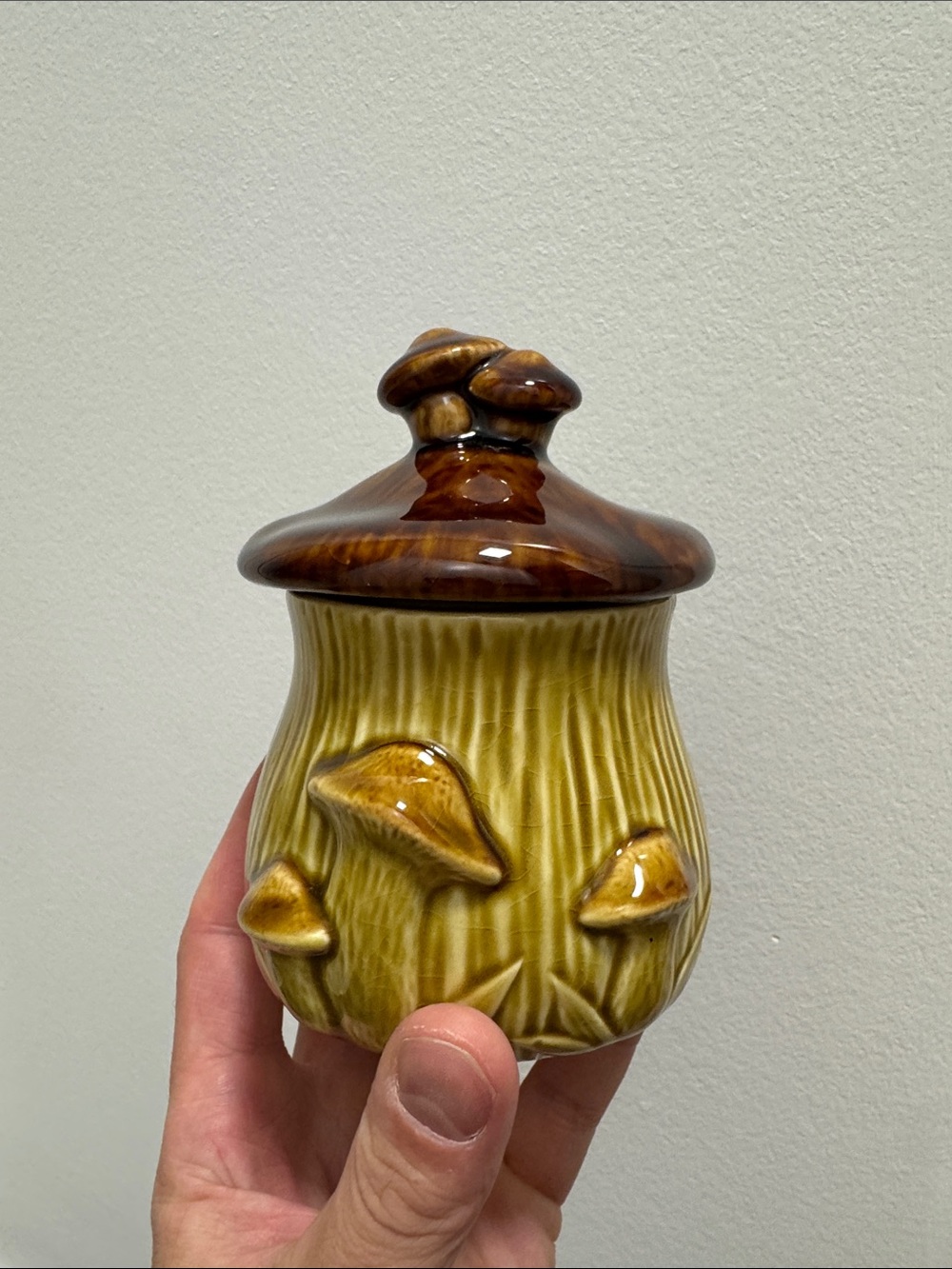 Vintage 1970's Mushroom Ceramic Canister 5” Tall